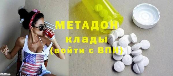 ПСИЛОЦИБИНОВЫЕ ГРИБЫ Дмитриев