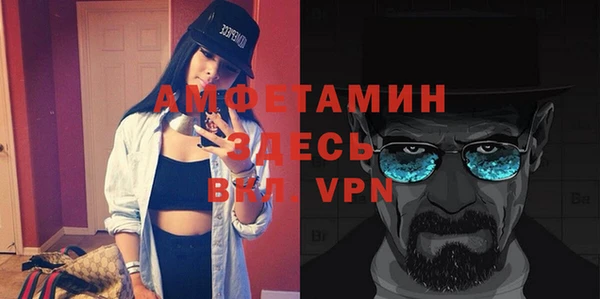 ПСИЛОЦИБИНОВЫЕ ГРИБЫ Дмитриев