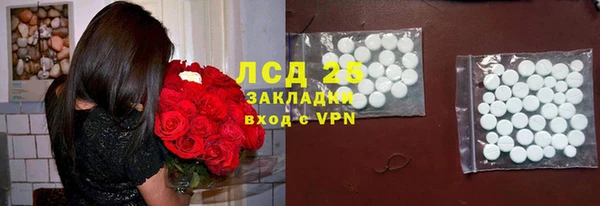 ПСИЛОЦИБИНОВЫЕ ГРИБЫ Дмитриев