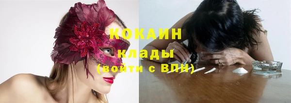 тгк Мегион