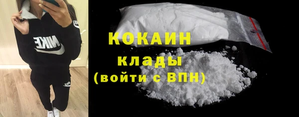 ПСИЛОЦИБИНОВЫЕ ГРИБЫ Дмитриев