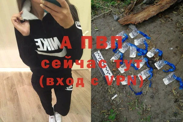 ГАЛЛЮЦИНОГЕННЫЕ ГРИБЫ Дмитров