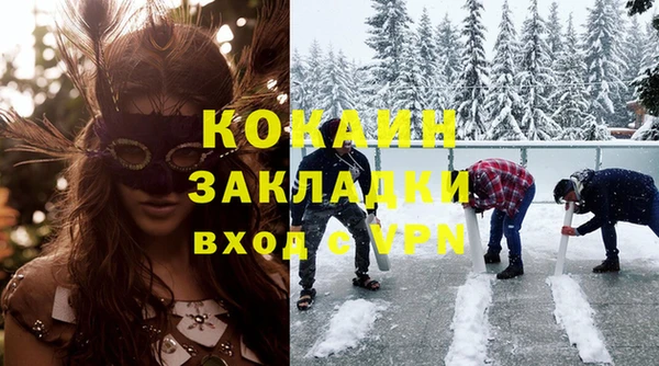 ПСИЛОЦИБИНОВЫЕ ГРИБЫ Дмитриев