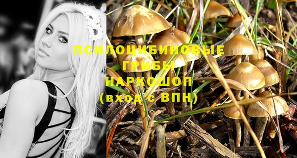 крисы Дмитровск