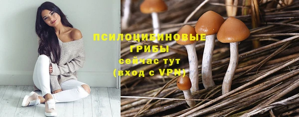 ПСИЛОЦИБИНОВЫЕ ГРИБЫ Дмитриев