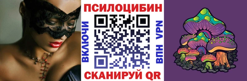 Псилоцибиновые грибы Cubensis  Железногорск-Илимский 