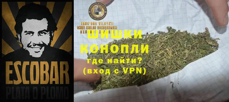 Марихуана SATIVA & INDICA  дарнет шоп  Железногорск-Илимский 